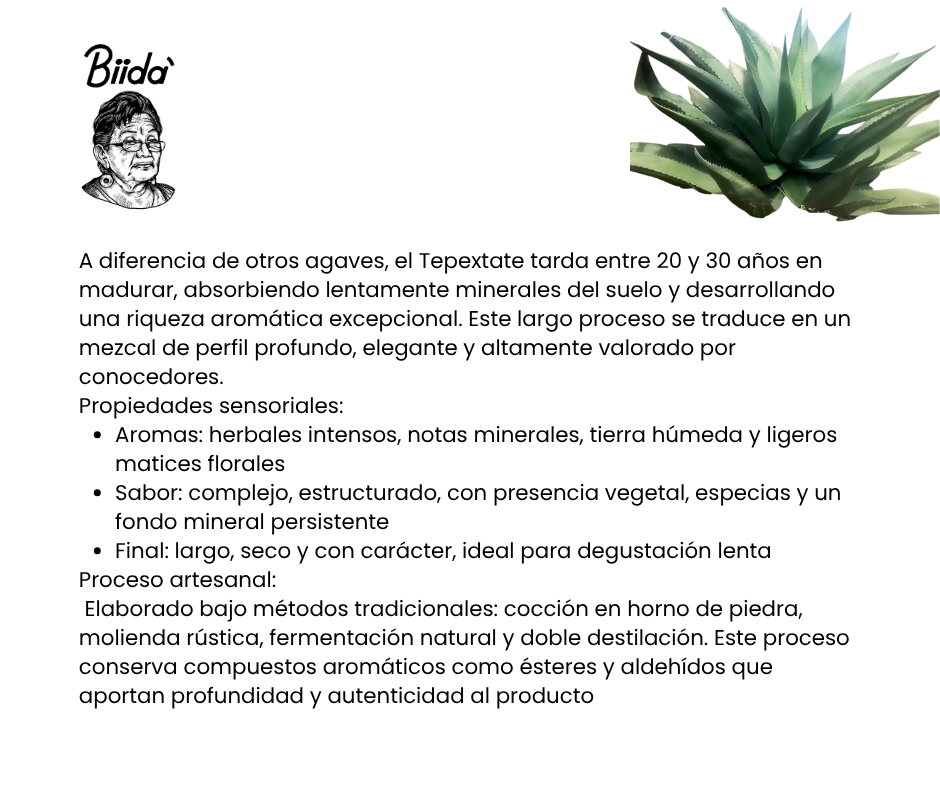 Mezcal Tepextate 20 Litros – Silvestre para Eventos Premium
