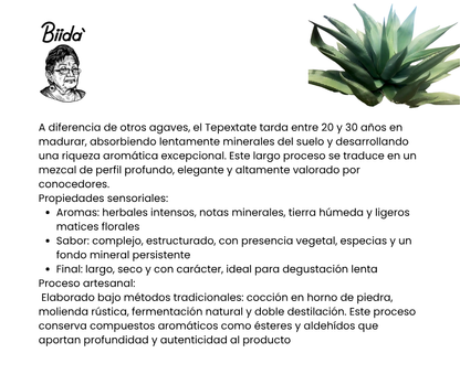 Mezcal Tepextate 20 Litros – Silvestre para Eventos Premium