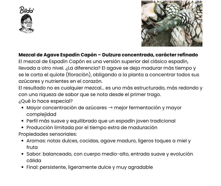 Mezcal Espadin Capón 5 Litros – Perfil Intenso y Premium