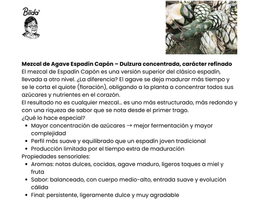 Mezcal Espadin Capón 5 Litros – Perfil Intenso y Premium